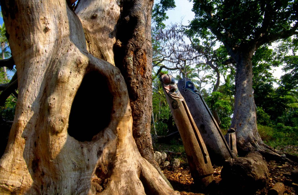 Malekula, îlot de Vao, Vanuatu © Philippe Pataud Célérier