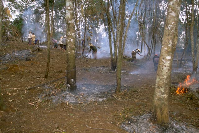 Déforestation, Laos © ppc