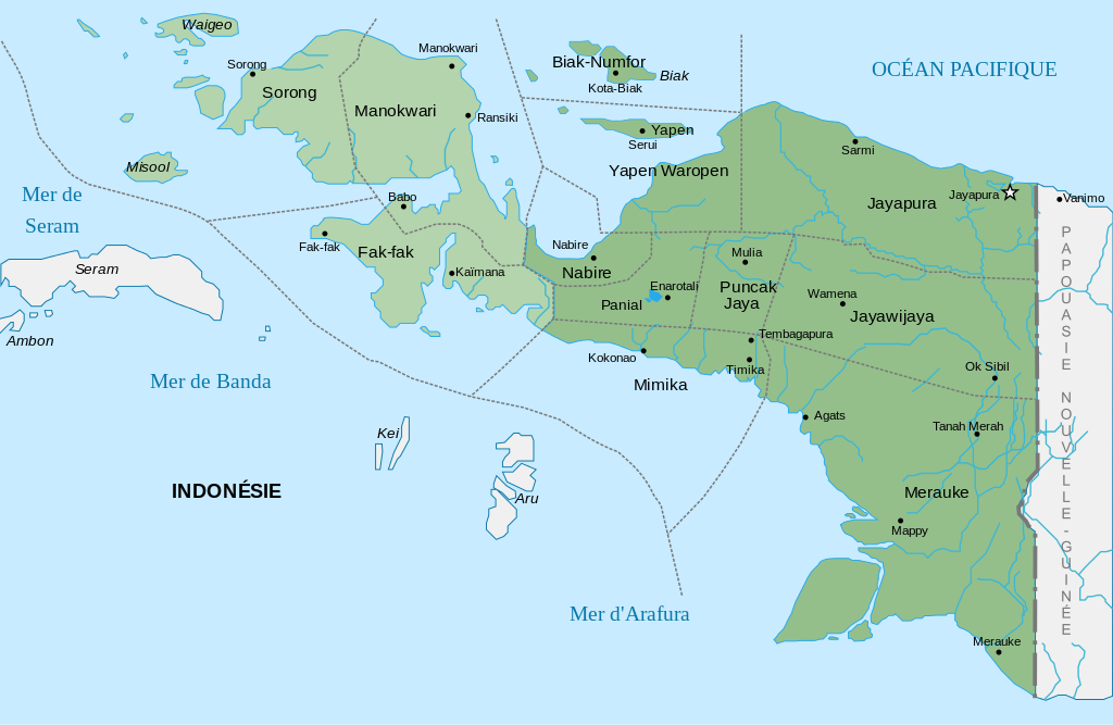 Nouvelle-Guinée Occidentale est aujourd'hui divisée en deux provinces : Papouasie et Papouasie Occidentale © DR