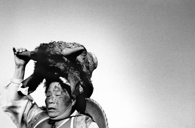 Shaman putting a cow’s head on, Taean, 1992 © Lee Gap Chul