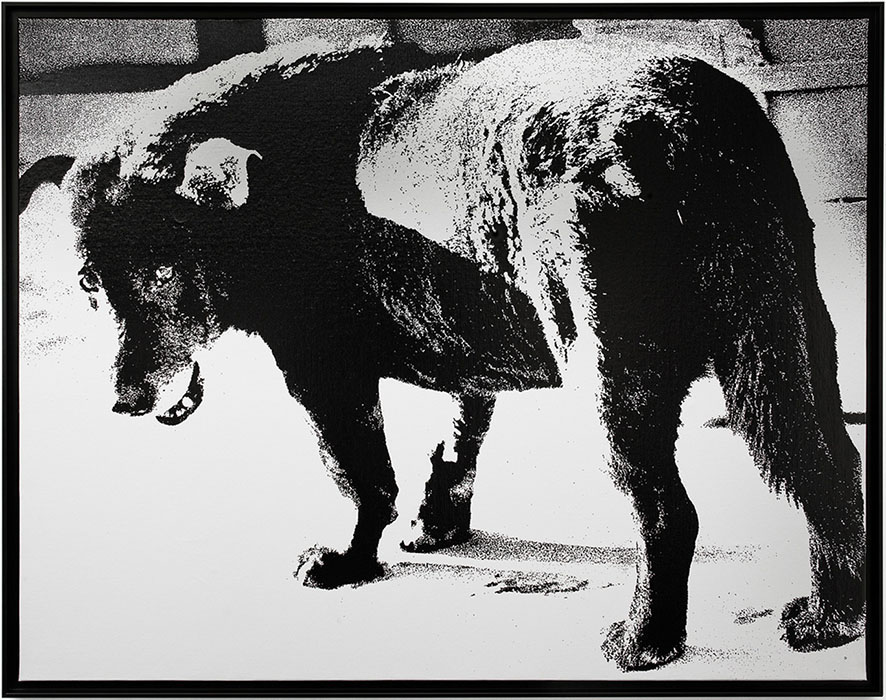 The dog Daido Moriyama